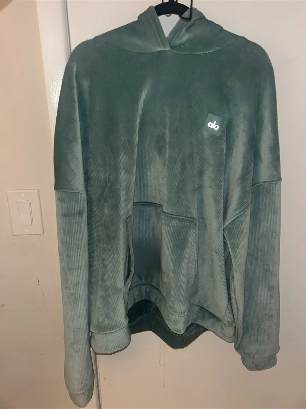 Alo Oversized Velour Ribbed Baller Hoodie in Seafoam Green XL